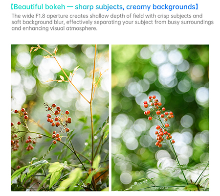 7Artisans AF 35mm f/1.8 for Sony E Mount APSC