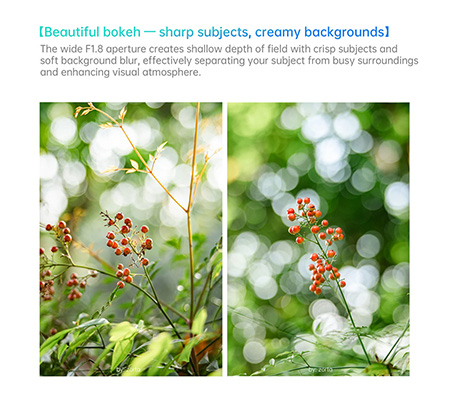 7Artisans AF 50mm f/1.8 for Sony E Mount APSC