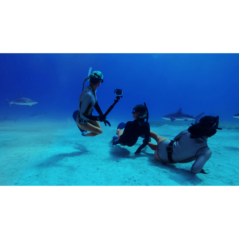 GoPro Protective Housing Waterproof Case for HERO 13/12/11/10/9 Black (ADDIV-001-VT)