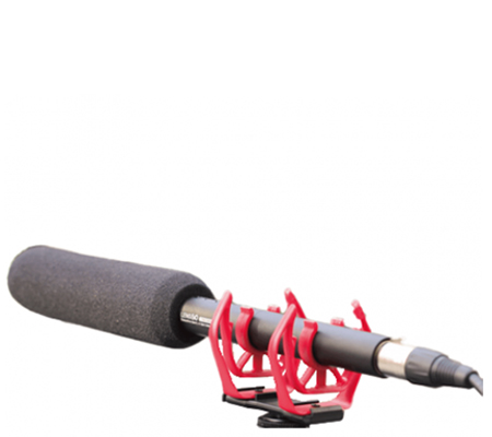 LensGo LYM-DM1000 Cardioid Recording Microphone