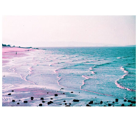 Lomography 2021 LomoChrome Purple Pétillant 35mm ISO 100–400 Negative Roll Film Camera